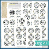 D&C Come Follow Me SEEK IT! {ICON EDITION} PRINTABLE