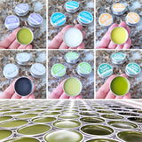 12 SALVE Discounted Bundle IN A BOX {0.5 oz each}