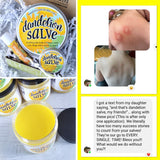 DANDELION Salve {Discounted 5-Pack} HALF OZ TINS