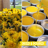 DANDELION Salve