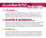 Dandelion Rose FACIAL TRIO {Salve, Oil Cleanser & Eye Roller}