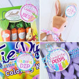 Easter BUNNY Basket Stuffers {Gift Tag Kit} PRINTABLE-My Computer is My Canvas